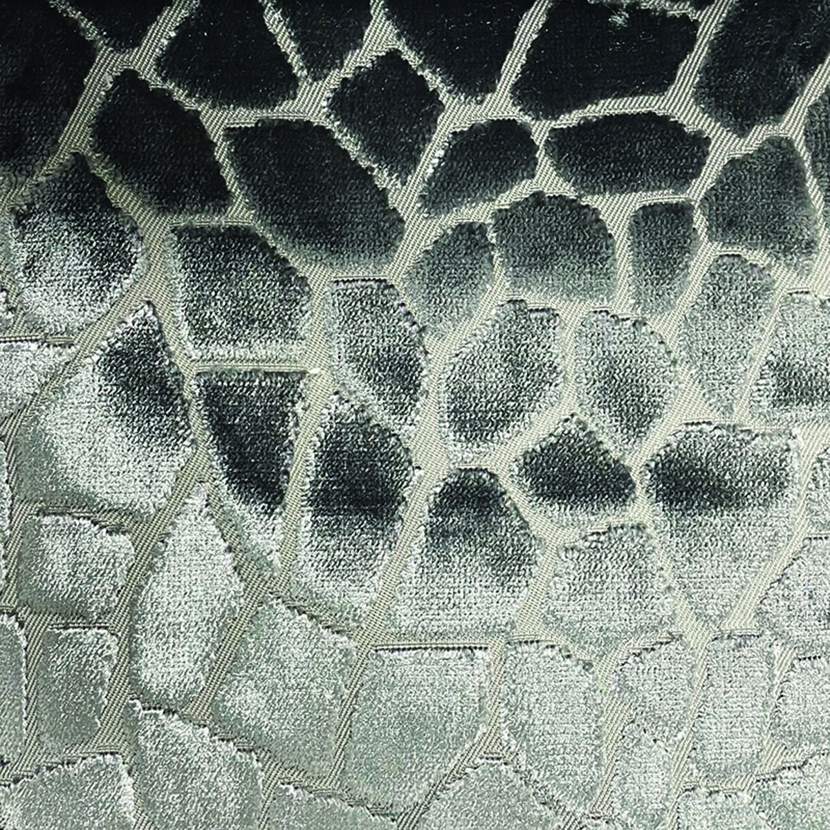 Raffles Mosaic 5